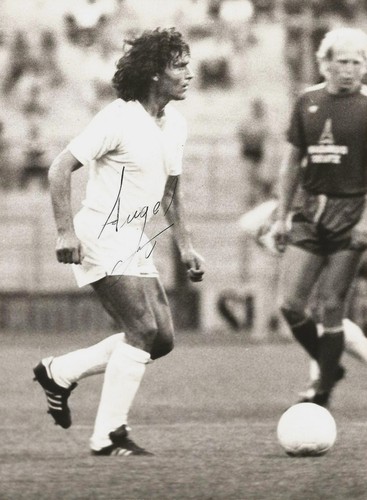 ángel los santos real - los,