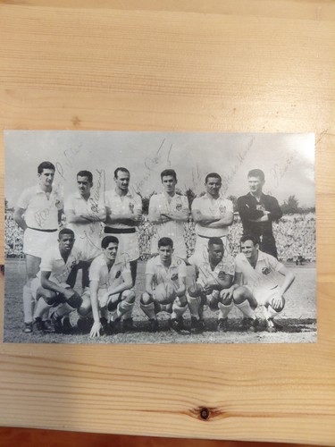 Santos pele - santos, +